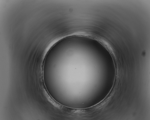 X0000089950808200707061119