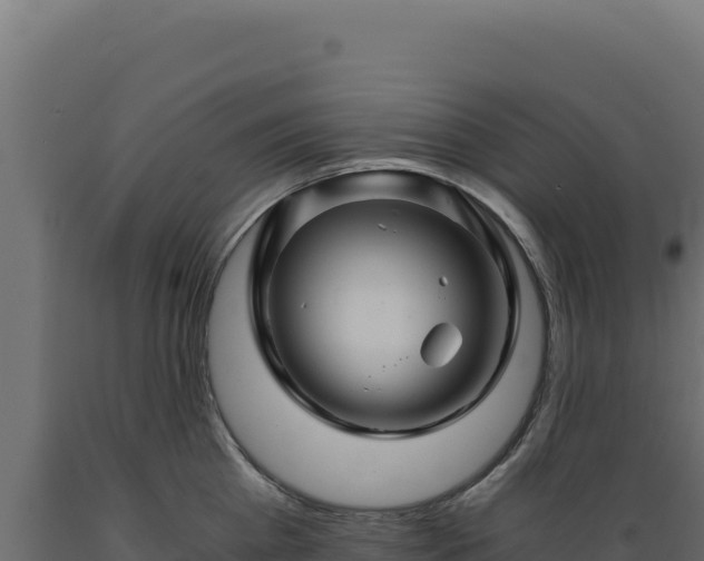 X0000089950809200707061119