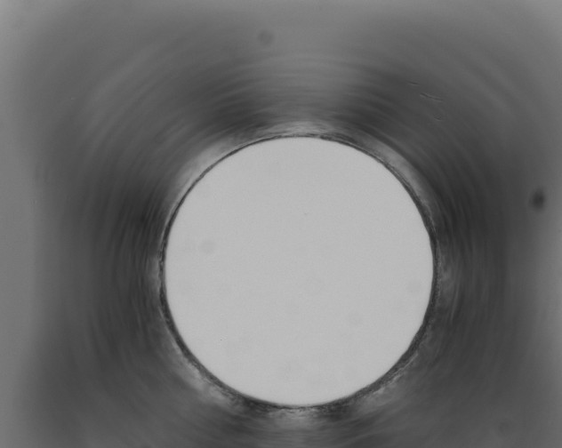 X0000089950810200707061119
