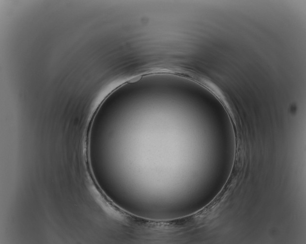 X0000089950811200707061119