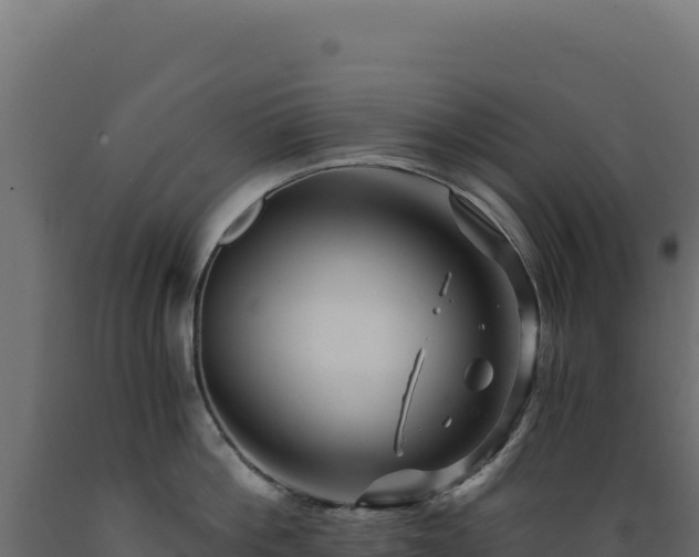 X0000089950812200707061119