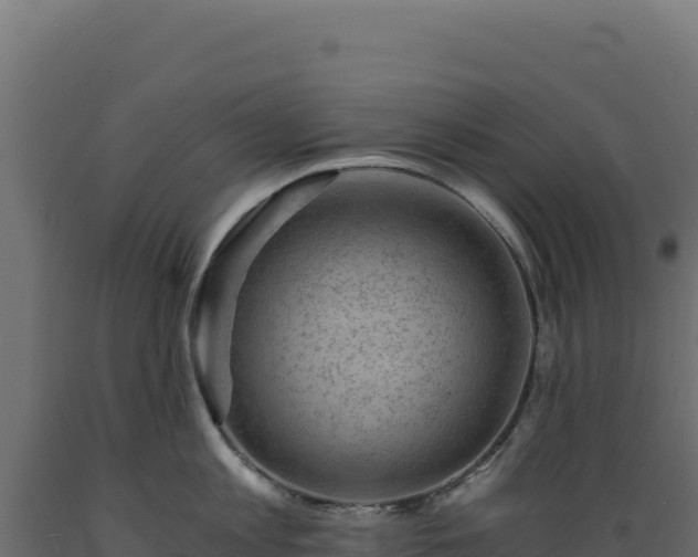 X0000089950813200707061119