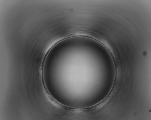 X0000089950814200707061119
