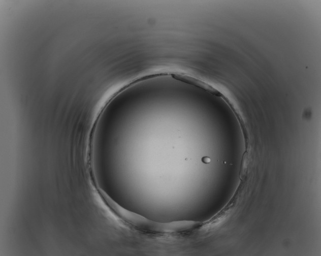 X0000089950815200707061119