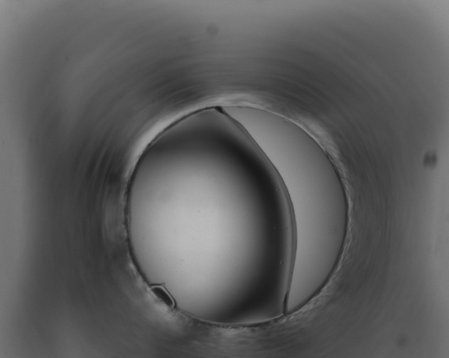 X0000089950816200707061119
