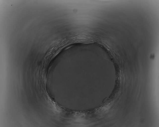 X0000089950818200707061119