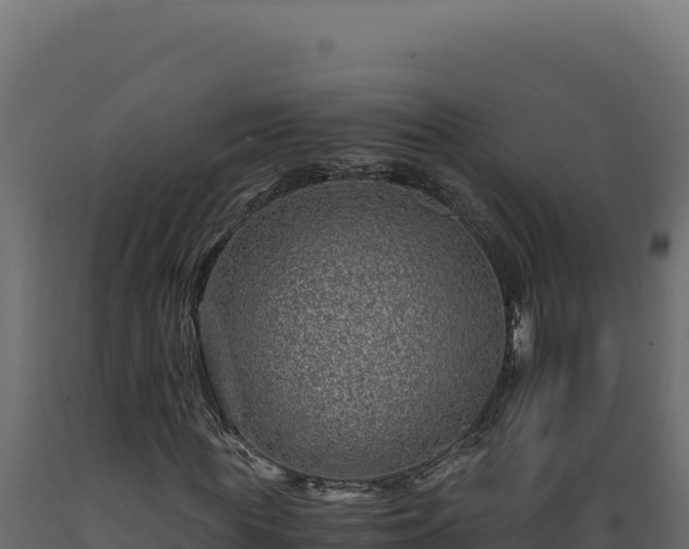 X0000089950819200707061119