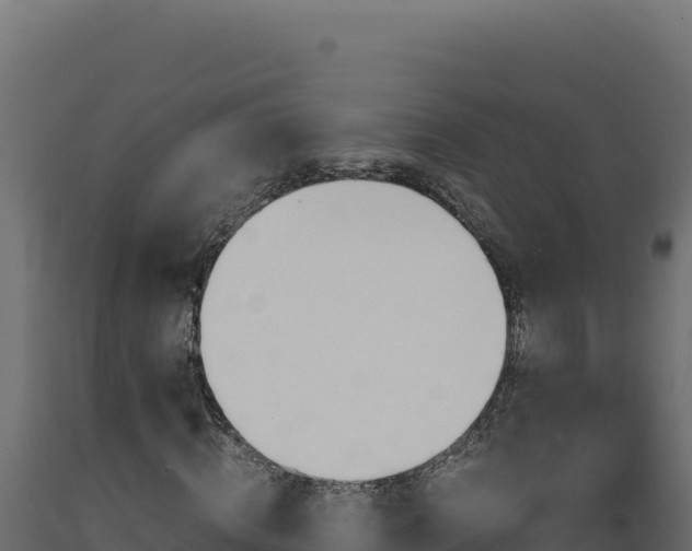 X0000089950820200707061119