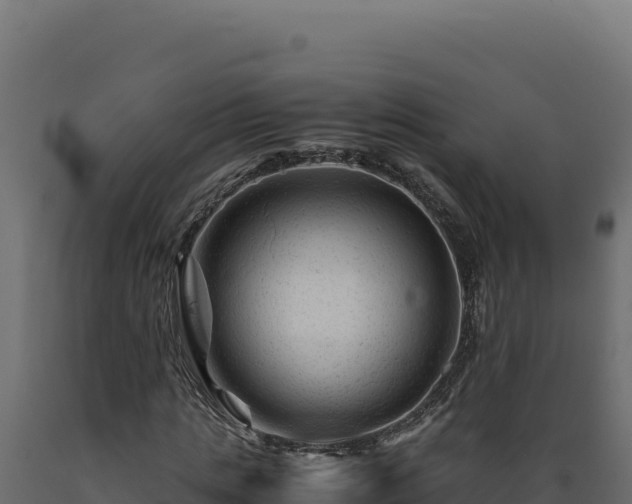 X0000089950821200707061119
