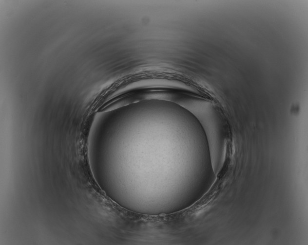 X0000089950822200707061119
