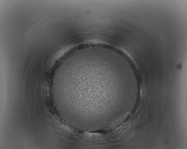 X0000089950823200707061119