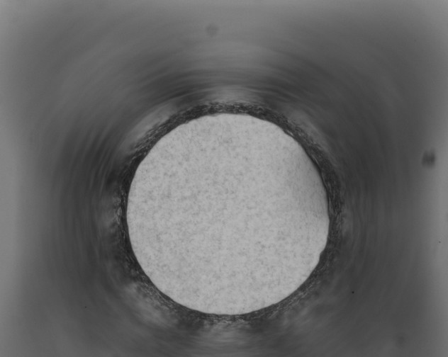 X0000089950824200707061119