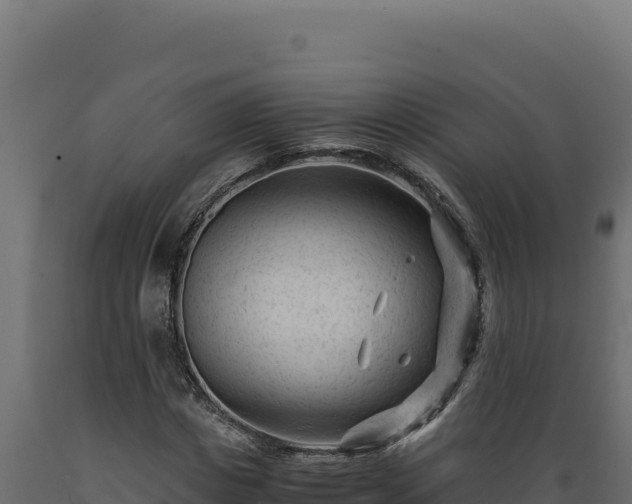X0000089950825200707061119