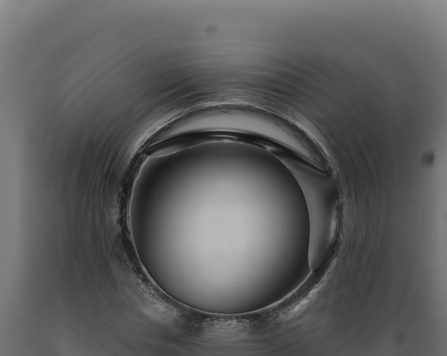 X0000089950826200707061119