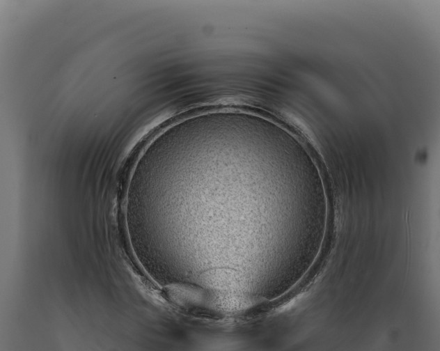 X0000089950827200707061119