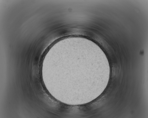 X0000089950828200707061119