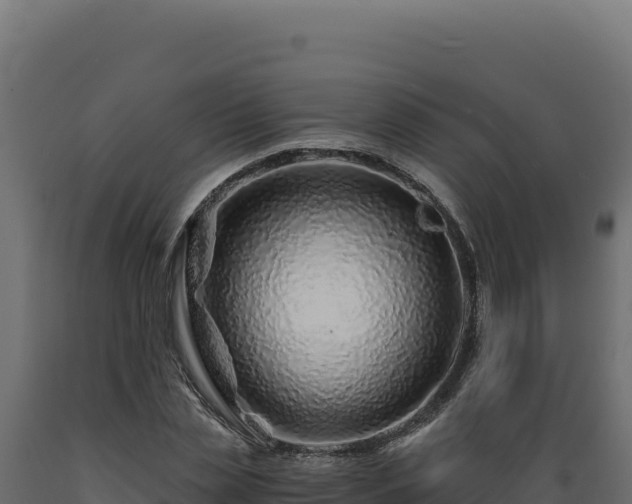 X0000089950829200707061119