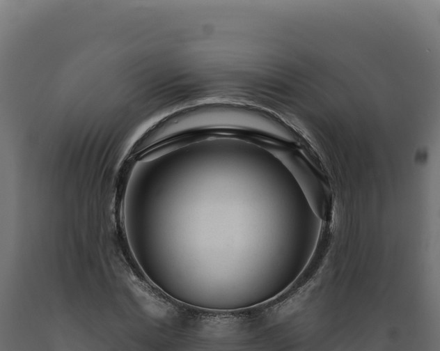 X0000089950830200707061119