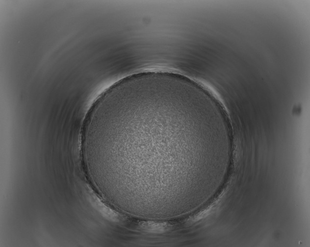 X0000089950831200707061119