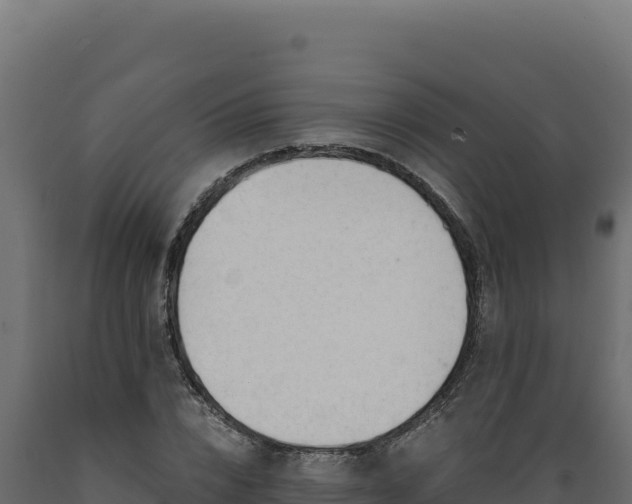 X0000089950832200707061119