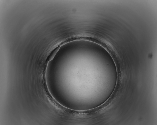 X0000089950833200707061119