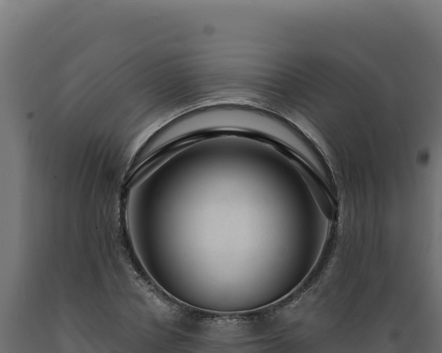 X0000089950834200707061119