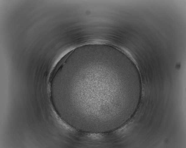 X0000089950835200707061119