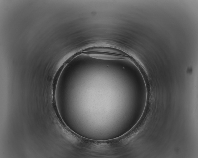 X0000089950837200707061119