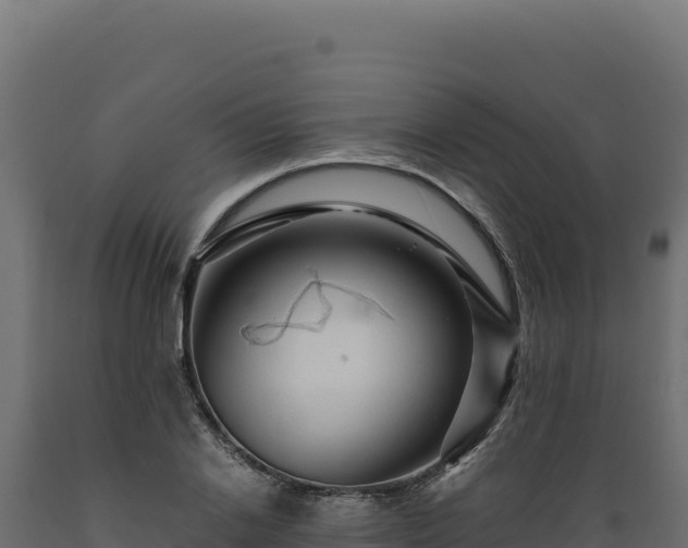 X0000089950838200707061119