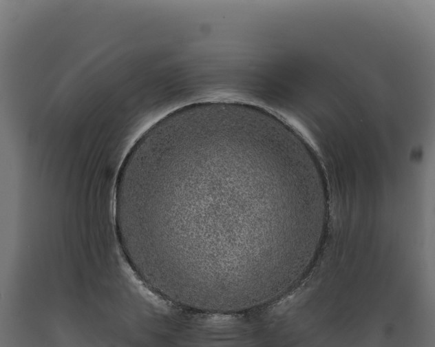 X0000089950839200707061119