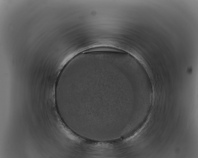 X0000089950842200707061119