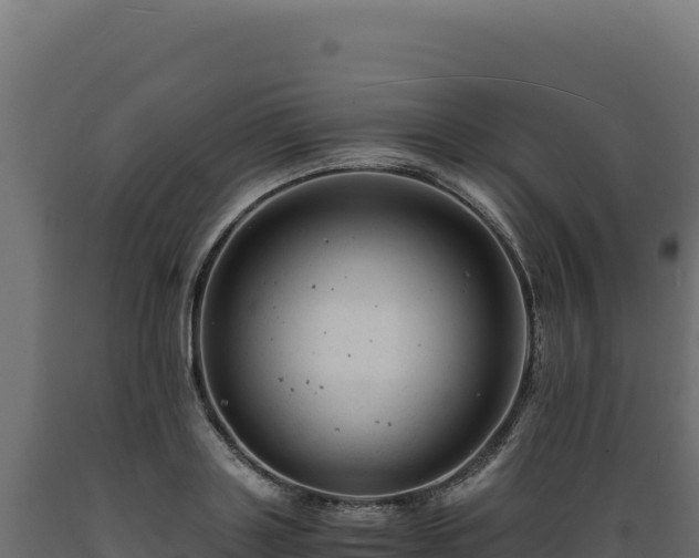 X0000089950843200707061119