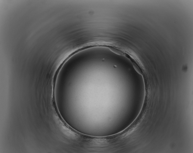 X0000089950844200707061119