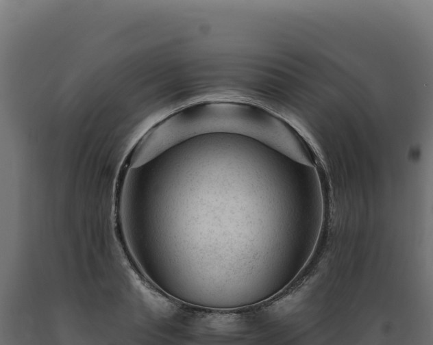 X0000089950845200707061119