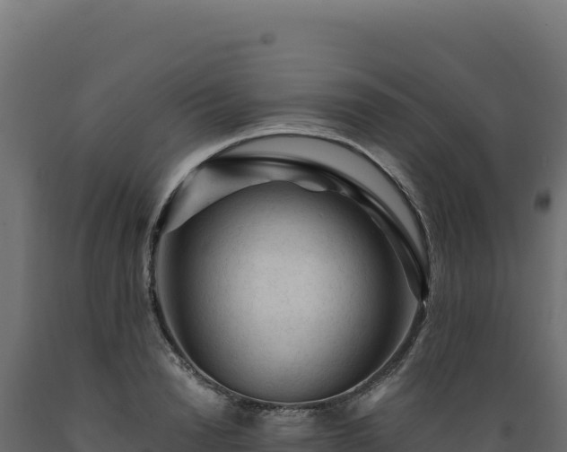 X0000089950846200707061119