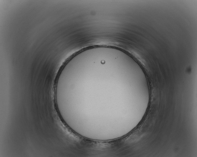 X0000089950848200707061119