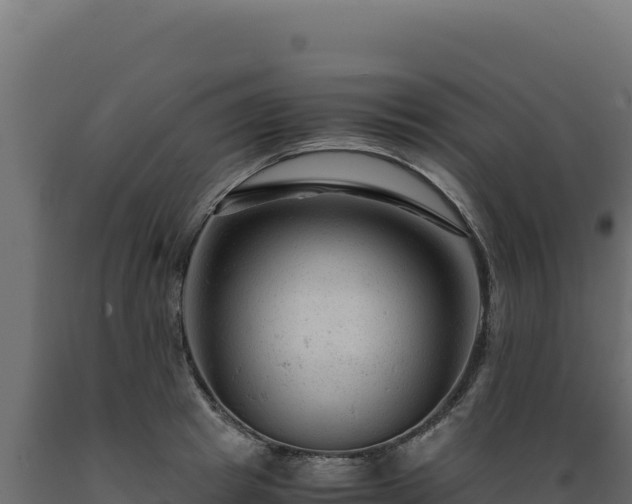 X0000089950849200707061119