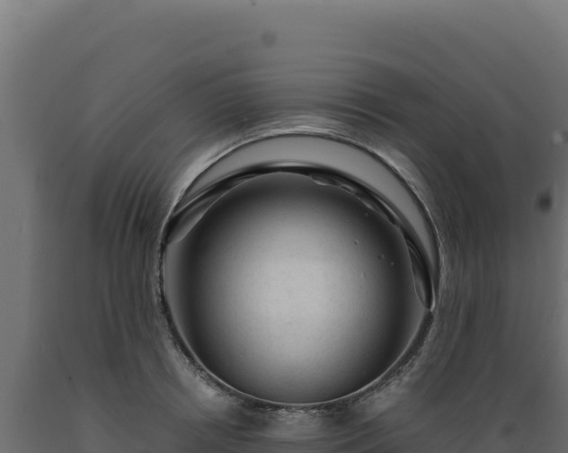 X0000089950850200707061119