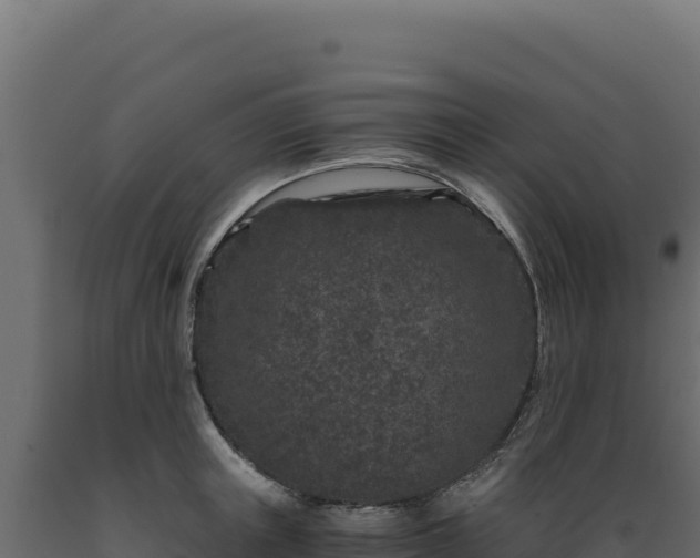 X0000089950851200707061119