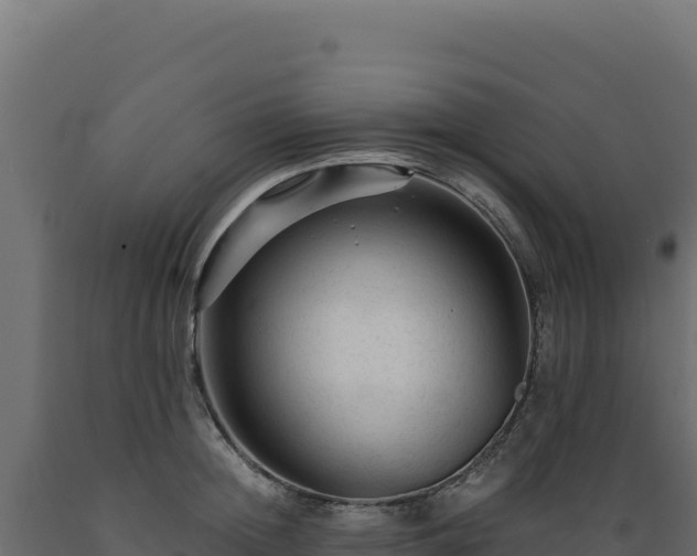 X0000089950852200707061119
