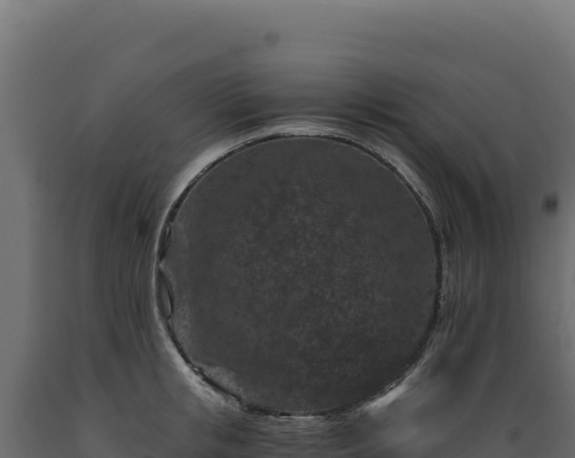X0000089950853200707061119