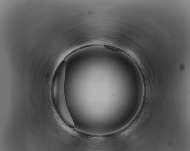 X0000089950854200707061119