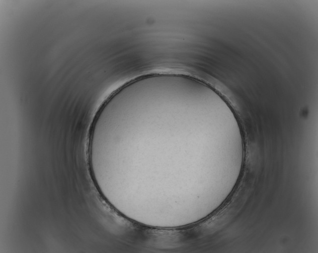 X0000089950856200707061119