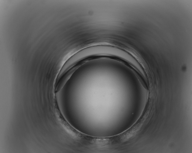 X0000089950858200707061119