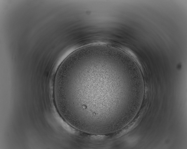 X0000089950859200707061119