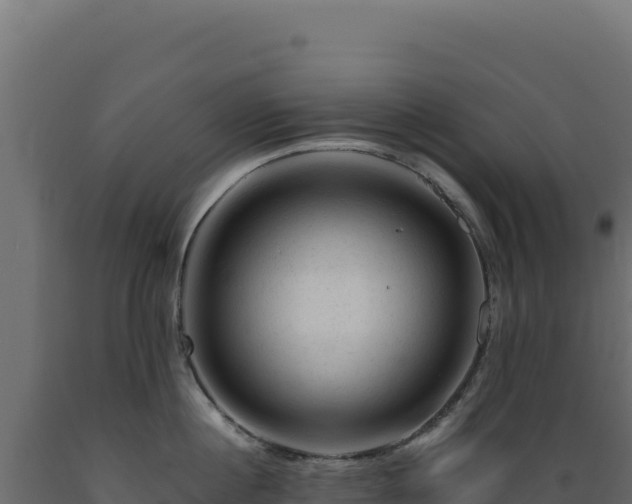 X0000089950860200707061119