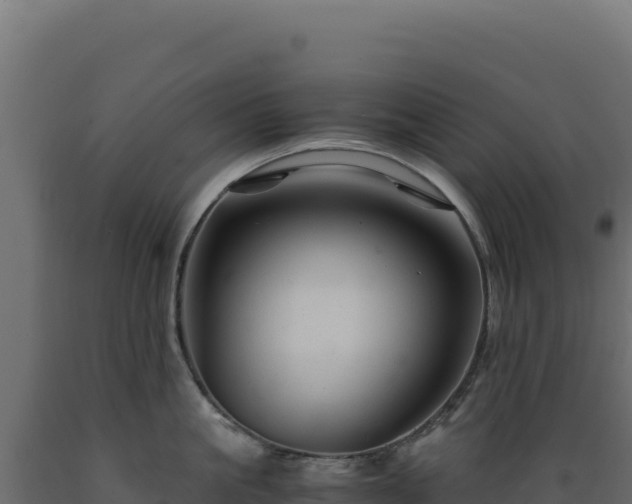 X0000089950861200707061119