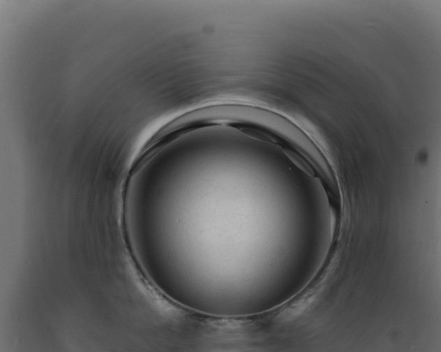 X0000089950862200707061119