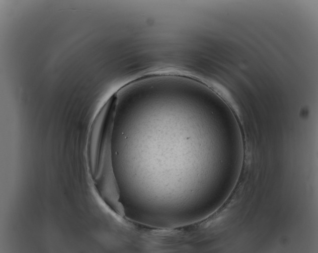 X0000089950863200707061119