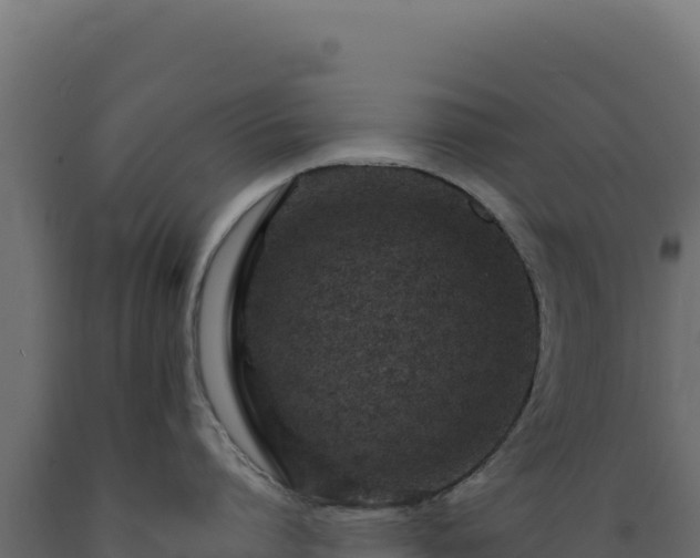 X0000089950864200707061119